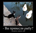Нажмите на изображение для увеличения
Название: image-uni-128365-1020345565.jpeg
Просмотров: 462
Размер:	85.0 Кб
ID:	1205796