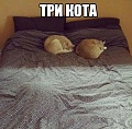 Нажмите на изображение для увеличения
Название: image-uni-128365-590582175.jpeg
Просмотров: 492
Размер:	64.8 Кб
ID:	1205798