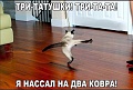 Нажмите на изображение для увеличения
Название: image-uni-128365-1216795507.jpeg
Просмотров: 371
Размер:	69.9 Кб
ID:	1207113