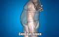 Нажмите на изображение для увеличения
Название: image-uni-128365-227007337.jpeg
Просмотров: 431
Размер:	101.6 Кб
ID:	1214027