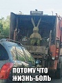 Нажмите на изображение для увеличения
Название: image-uni-128365-664983885.jpeg
Просмотров: 393
Размер:	75.7 Кб
ID:	1214306