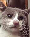 Нажмите на изображение для увеличения
Название: 6674261.jpg
Просмотров: 325
Размер:	57.0 Кб
ID:	1218386