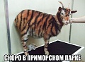 Нажмите на изображение для увеличения
Название: image-uni-128365-82210099.jpeg
Просмотров: 332
Размер:	64.3 Кб
ID:	1218511