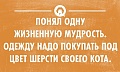 Нажмите на изображение для увеличения
Название: 0_f137c_358669dd_orig.jpg
Просмотров: 373
Размер:	63.5 Кб
ID:	1220738