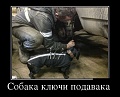 Нажмите на изображение для увеличения
Название: 1450139006_demotivatory_07.jpg
Просмотров: 476
Размер:	52.2 Кб
ID:	1228798