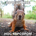 Нажмите на изображение для увеличения
Название: image-uni-128365-1121949293.jpeg
Просмотров: 402
Размер:	98.0 Кб
ID:	1230738