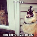 Нажмите на изображение для увеличения
Название: image-uni-128365-1488730784.jpeg
Просмотров: 424
Размер:	103.3 Кб
ID:	1230739