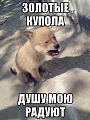 Нажмите на изображение для увеличения
Название: image-uni-128365-645461603.jpeg
Просмотров: 431
Размер:	81.3 Кб
ID:	1230743