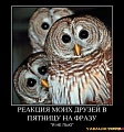 Нажмите на изображение для увеличения
Название: image.jpeg
Просмотров: 76
Размер:	71.9 Кб
ID:	1230967
