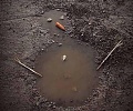 Нажмите на изображение для увеличения
Название: image.jpeg
Просмотров: 521
Размер:	68.2 Кб
ID:	1231834