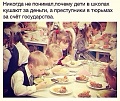 Нажмите на изображение для увеличения
Название: image-uni-128365-1728215577.jpeg
Просмотров: 467
Размер:	97.0 Кб
ID:	1240176