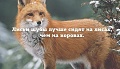 Нажмите на изображение для увеличения
Название: image-uni-128365-267804019.jpeg
Просмотров: 446
Размер:	55.1 Кб
ID:	1247871