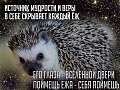 Нажмите на изображение для увеличения
Название: image.jpeg
Просмотров: 68
Размер:	119.0 Кб
ID:	1250546