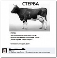 Нажмите на изображение для увеличения
Название: image-uni-128365-1995211387.jpeg
Просмотров: 589
Размер:	70.7 Кб
ID:	1259662