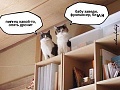 Нажмите на изображение для увеличения
Название: 1.jpg
Просмотров: 651
Размер:	103.8 Кб
ID:	1274896