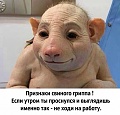 Нажмите на изображение для увеличения
Название: IMG-20160129-WA0000.jpg
Просмотров: 370
Размер:	86.5 Кб
ID:	1275615