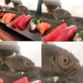 Нажмите на изображение для увеличения
Название: image-uni-128365-848583932.jpeg
Просмотров: 471
Размер:	71.1 Кб
ID:	1276034