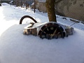 Нажмите на изображение для увеличения
Название: 20160117_145006.jpg
Просмотров: 246
Размер:	283.1 Кб
ID:	1280421