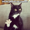 Нажмите на изображение для увеличения
Название: 1xN66aHjzs0.jpg
Просмотров: 474
Размер:	51.8 Кб
ID:	1282809