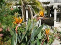 Нажмите на изображение для увеличения
Название: 25P1000773.JPG
Просмотров: 571
Размер:	191.9 Кб
ID:	128307