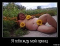 Нажмите на изображение для увеличения
Название: айфон 004.JPG
Просмотров: 758
Размер:	75.5 Кб
ID:	1284454