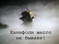 Нажмите на изображение для увеличения
Название: image-uni-128365-677061935.jpeg
Просмотров: 465
Размер:	64.9 Кб
ID:	1287101