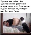 Нажмите на изображение для увеличения
Название: image-uni-128365-2037365384.jpeg
Просмотров: 615
Размер:	60.5 Кб
ID:	1298049