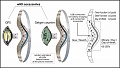 Нажмите на изображение для увеличения
Название: Multi_Watch_2.jpg
Просмотров: 585
Размер:	62.9 Кб
ID:	130246