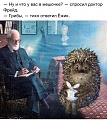 Нажмите на изображение для увеличения
Название: 12715318_1210934668936727_2692745565158324812_n.jpg
Просмотров: 485
Размер:	77.9 Кб
ID:	1303197