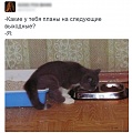 Нажмите на изображение для увеличения
Название: 7275858.jpg
Просмотров: 363
Размер:	127.6 Кб
ID:	1316100