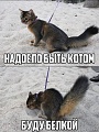 Нажмите на изображение для увеличения
Название: 7259908.jpg
Просмотров: 466
Размер:	76.7 Кб
ID:	1321359