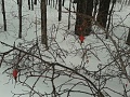 Нажмите на изображение для увеличения
Название: 20160312_142236.jpg
Просмотров: 76
Размер:	552.6 Кб
ID:	1325415