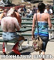 Нажмите на изображение для увеличения
Название: image-uni-128365-1744370863.jpeg
Просмотров: 533
Размер:	123.7 Кб
ID:	1326029