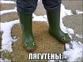 Нажмите на изображение для увеличения
Название: image.jpeg
Просмотров: 399
Размер:	109.3 Кб
ID:	1337134