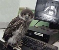 Нажмите на изображение для увеличения
Название: image-uni-128365-870445519.jpeg
Просмотров: 546
Размер:	74.6 Кб
ID:	1347557