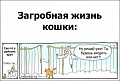 Нажмите на изображение для увеличения
Название: image-uni-128365-1787739127.jpeg
Просмотров: 534
Размер:	57.4 Кб
ID:	1349835