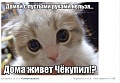 Нажмите на изображение для увеличения
Название: 7363681.jpg
Просмотров: 506
Размер:	59.6 Кб
ID:	1351065