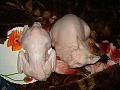 Нажмите на изображение для увеличения
Название: image-uni-128365-682599024.jpeg
Просмотров: 410
Размер:	55.7 Кб
ID:	1352962