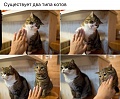 Нажмите на изображение для увеличения
Название: image-uni-107710-1317861503.jpeg
Просмотров: 486
Размер:	100.0 Кб
ID:	1361640