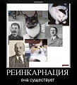 Нажмите на изображение для увеличения
Название: image-uni-107710-1073719704.jpeg
Просмотров: 523
Размер:	79.9 Кб
ID:	1361641