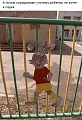 Нажмите на изображение для увеличения
Название: image-uni-107710-558245135.jpeg
Просмотров: 479
Размер:	193.6 Кб
ID:	1361647