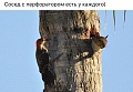 Нажмите на изображение для увеличения
Название: image-uni-107710-821230299.jpeg
Просмотров: 501
Размер:	93.3 Кб
ID:	1365304
