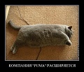 Нажмите на изображение для увеличения
Название: image-uni-107710-1308988033.jpeg
Просмотров: 500
Размер:	120.7 Кб
ID:	1365306