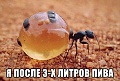 Нажмите на изображение для увеличения
Название: 7451724.jpg
Просмотров: 59
Размер:	123.7 Кб
ID:	1367427