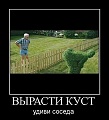 Нажмите на изображение для увеличения
Название: image-uni-107710-1131042170.jpeg
Просмотров: 467
Размер:	39.9 Кб
ID:	1369957