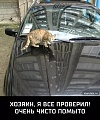 Нажмите на изображение для увеличения
Название: image-uni-107710-476108822.jpeg
Просмотров: 406
Размер:	127.6 Кб
ID:	1369963