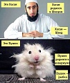 Нажмите на изображение для увеличения
Название: image-uni-128365-1971800045.jpeg
Просмотров: 415
Размер:	84.0 Кб
ID:	1370347