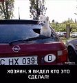 Нажмите на изображение для увеличения
Название: image-uni-107710-2140731254.jpeg
Просмотров: 412
Размер:	135.7 Кб
ID:	1371736