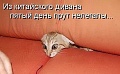 Нажмите на изображение для увеличения
Название: image-uni-107710-1827252679.jpeg
Просмотров: 436
Размер:	59.1 Кб
ID:	1371739