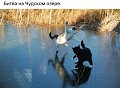 Нажмите на изображение для увеличения
Название: image-uni-107710-1413219646.jpeg
Просмотров: 500
Размер:	110.2 Кб
ID:	1371741